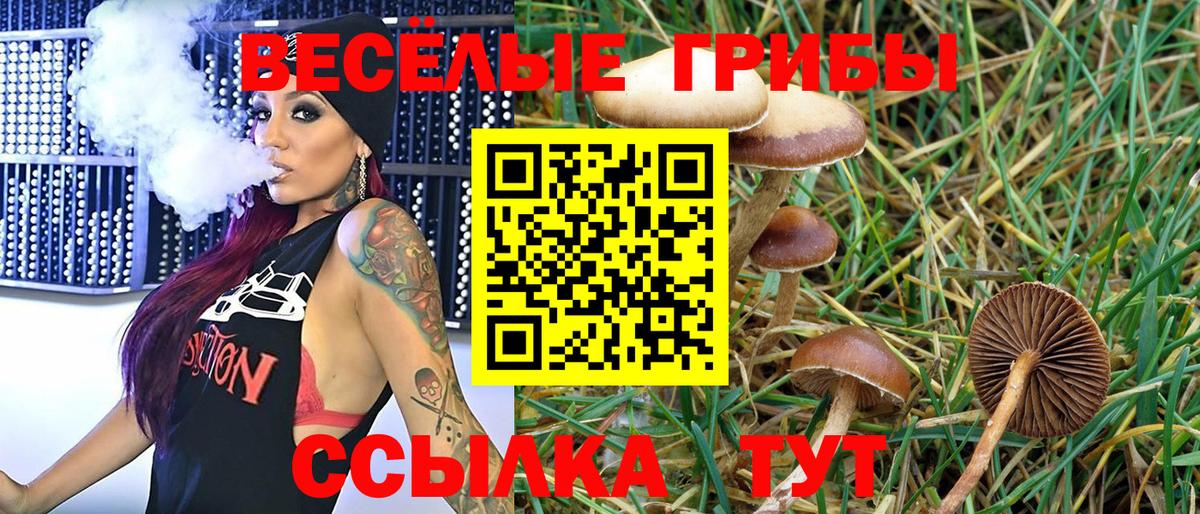 Красноуфимск  Псилоцибиновые грибы Cubensis  Вход с VPN  хочу наркоту  Псилоцибиновые грибы ЛСД 